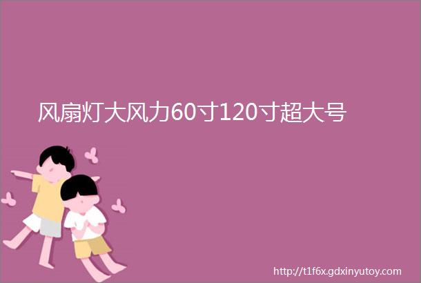 风扇灯大风力60寸120寸超大号